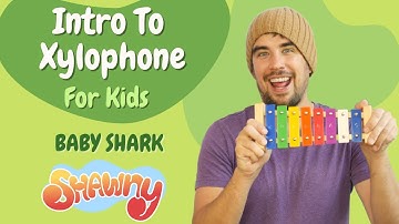 Intro to Xylophone for Kids | Baby Shark