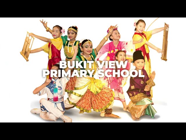 Thumbnail for BVPS Performing Arts Groups
