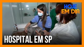 Hoje em Dia mostra rotina intensa em hospital veterinário de SP