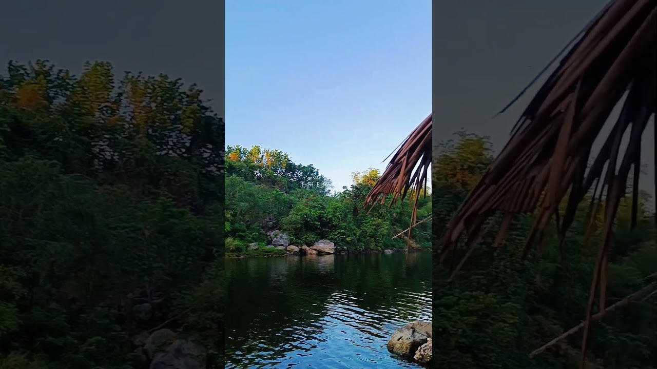 Nature Therapy ❤️❤️❤️ 