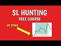 Sl hunting free course  ny spike momentum  increase your accuracy