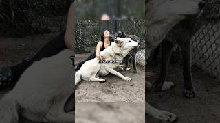 Rare Photos You've Never Seen Before [Part 246]
