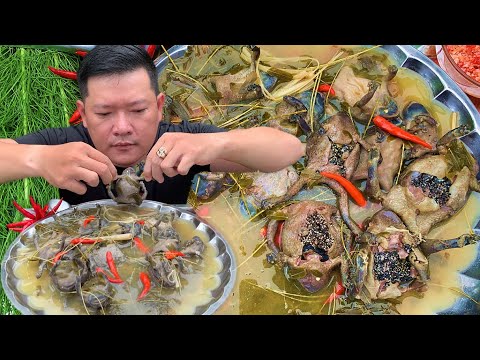 Video Ăn Ễnh Ương Trứng Nấu Lá Me | Ăn Youtube - youtube
