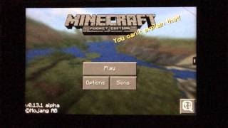 HockeyHamster how to get a Minecraft PE skin!!!!!!! screenshot 3