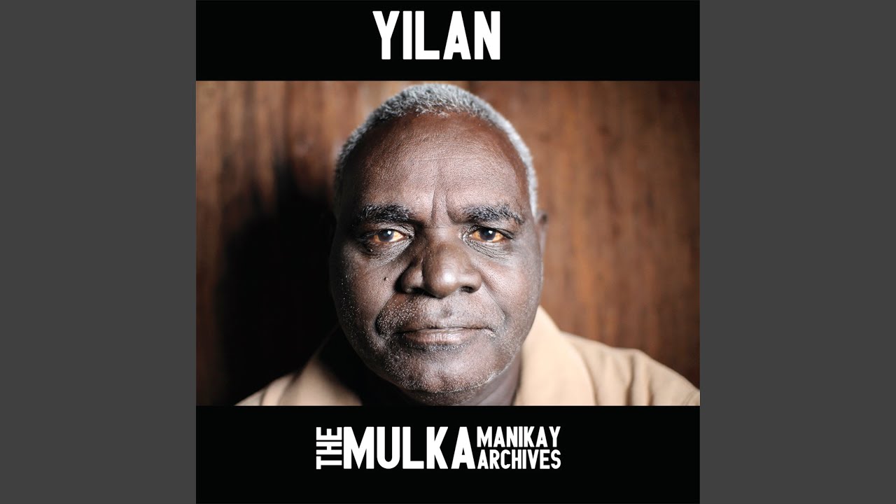 Gomulu (White Necked Heron)