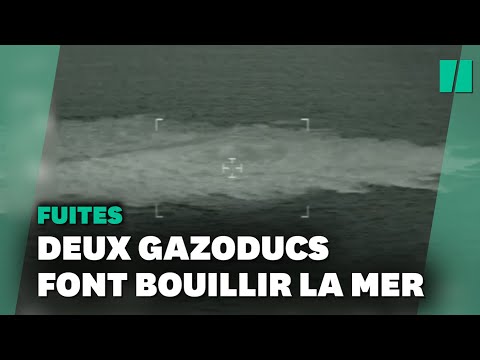 Les images des