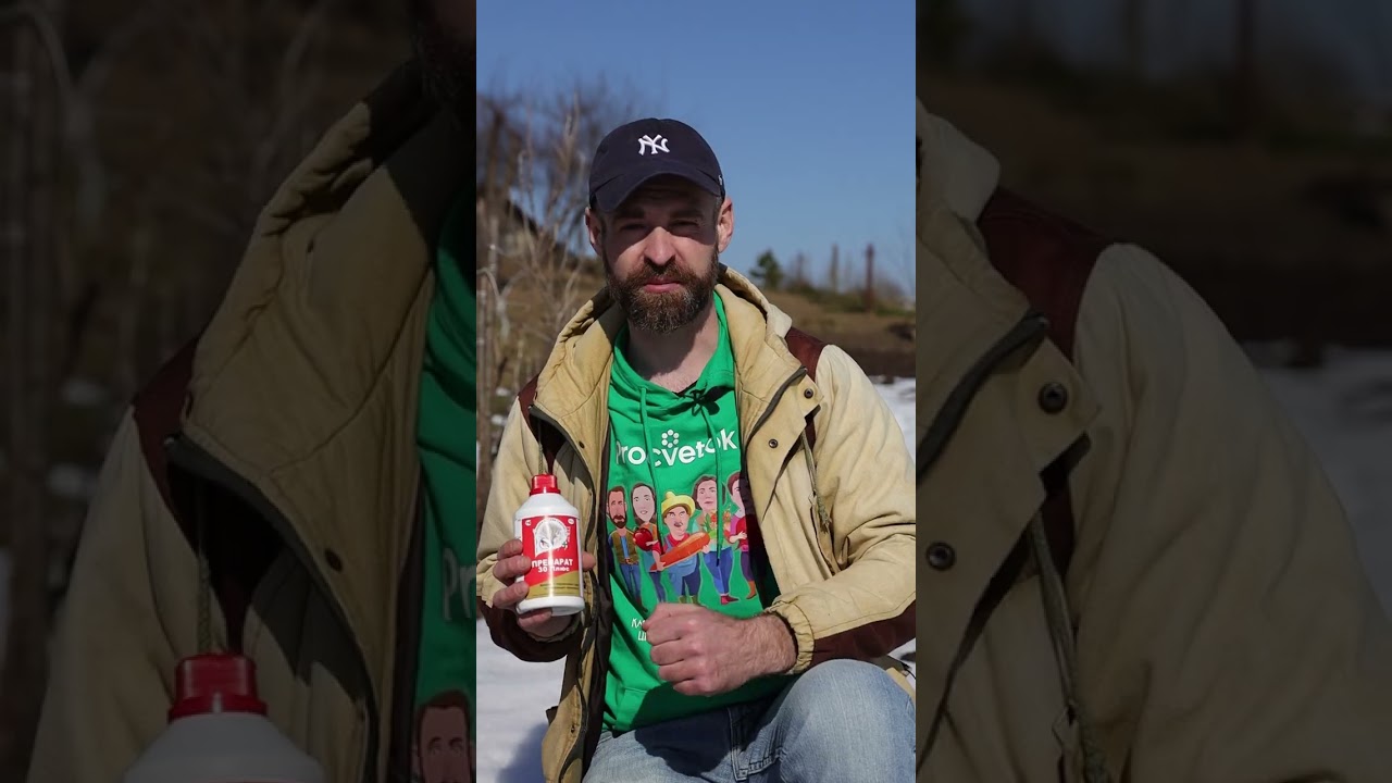 Не пропустите первую обработку сада! Здоровый сад - богатый урожай