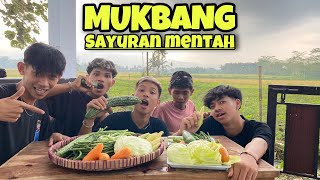 MUKBANG SAYUR MENTAH !! Bakalan ada yang nyerah gak ya ??