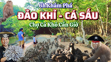 6 Giờ Khám Phá Đảo Khỉ - Cá Sấu , Lăng Ông Thủy Tướng và Chợ Cần Giờ .