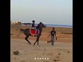 Little Boy On A Great HorseвќЈпёЏрџ Ґ ЩѕШіШ Ъ Щ Ъ Щ Щ Щ ШіЩ Ш Ш ШЁШ Ш ШіШЁ Ш Ш Щ ЫЊрџ ҐвќЈпёЏ Horse Animals Cavalo Ш ШµШ Щ Ш ШіШЁ Little Boy On A Great HorseвќЈпёЏрџ Ґ ЩѕШіШ Ъ Щ Ъ Щ Щ Щ ШіЩ Ш Ш ШЁШ Ш ШіШЁ Ш Ш Щ ЫЊрџ ҐвќЈпёЏ Horse Animals Cavalo Ш ШµШ Щ Ш ШіШЁ