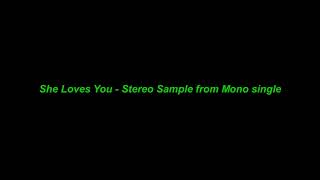 She Loves You Stereo Sample From Mono Single