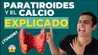 La INCREIBLE 🤯  función de la PARATHORMONA Y CLACITONINA (Fisiologia Fácil)