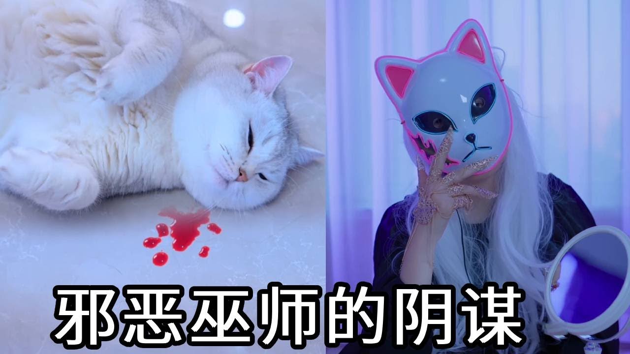 邪恶巫师的阴谋？哥哥只想见妹妹一面却被杀害！七宝和小圆子该如何相见？【七宝小圆子】