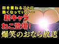 【ヤニねこ 3話】アル中下ネタねこ登場！爆笑おなら放送！どんどん酷くなっていくアニメだが面白すぎる！！