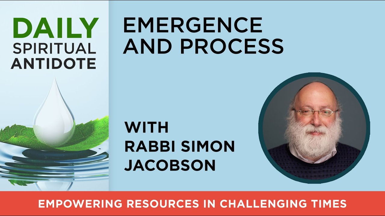 Emergence and Process | with Rabbi Simon Jacobson | Daily Spiritual Antidote #122