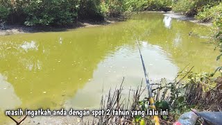 On fire‼️Caught milkfish, tilapia, and mullet all at the same spot using the same bait