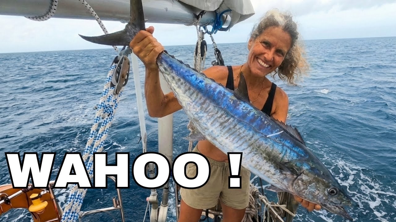 Fidji : pêche incroyable et snorkeling de rêve ! | Vlog 112