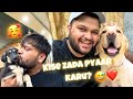 Simba aur kallu mai kisko pyaar karu  vlog