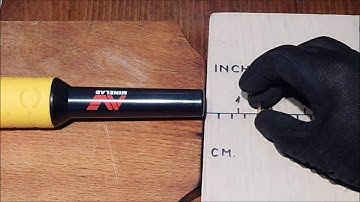 Minelab Pro Find 20 - Pinpointer tips