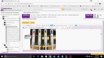 LabArchives Protocol Insertion