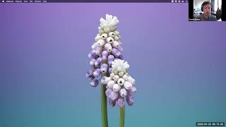 Configure Observability as Code with Terraform & Datadog