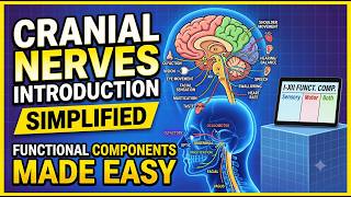 Cranial Nerves Introduction Simplified | Functional Components Made Easy