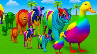 Long Slide Game with Colourful Duck Cow Tiger Gorilla Dog Elephant 3d Animal Game Funny 3d Animals screenshot 3