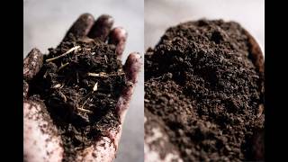 Finished vs. Cured Compost: The Critical Difference Your Plants Need