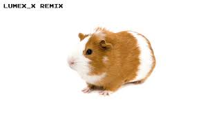 Gu Gu Guinea Pig - Rasputin Remix Ft. Lume