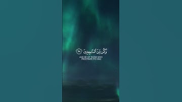 و لقد نعلم أنك يضيق صدرك | سورة الحجر (٩٧-٩٩) | إسلام صبحي | تصاميم أيات القرآن الكريم 🌿🤍