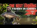 The best looking carp fishery in surrey  red beeches fishery  carp fishing in surrey  gocatch