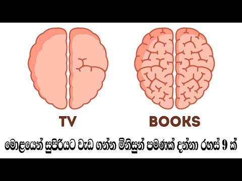 මොළයෙන් සුපිරියට වැඩ ගන්න මිනිසුන් පමණක් දන්නා රහස් 9 ක් - How We Influence Our Brains