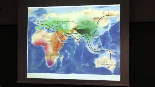 La diversidad genética humana hace 100.000 años. Daniel Turbón. Universidad de Navarra