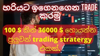100 $ කින් 36000 $ හොයන්න පුලුවන් trading stratergy එකක්හ | technical analysis sinhala | sl passive