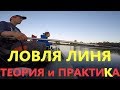 Ловля линя. Теория и практика