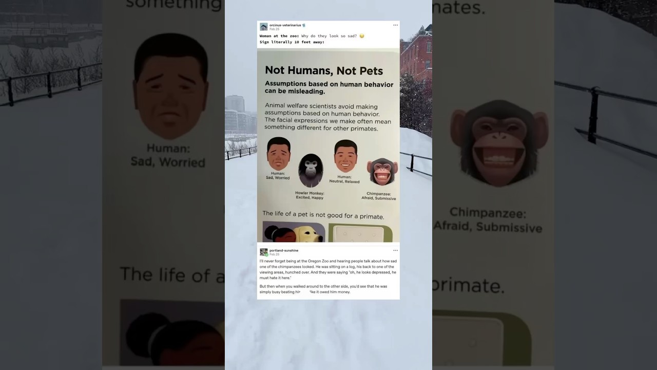 Animal welfare scientists are careful not to make assumptions based on human behavior.