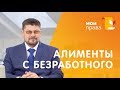 Алименты с безработного. Сколько он должен платить? / МОИ ПРАВА