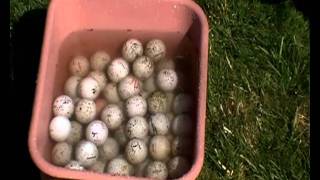 How To Clean Your Golf Balls