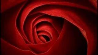 Yüksek Sadakat - Belki Üstümüzden Bir Kuş Geçer