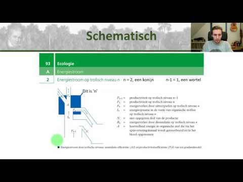 Bio bovenbouw - Energiestromen in ecosystemen en de piramide van biomassa - Ecologie #3