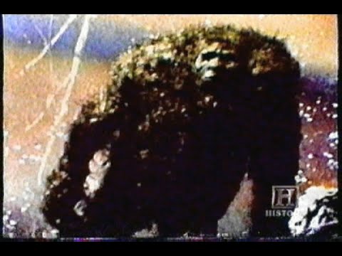 Monsters (Documentary)