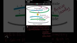 💉 How Human Insulin Was Made? | NCERT Human Insulin Gene Explained | NEET 2026 🔥