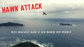Hawk Attack 🦅 | DJI Mavic Air 2 vs Bird of Prey (PG Language text warning) ⚠️