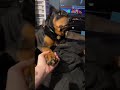 When You Have a Clingy Human!