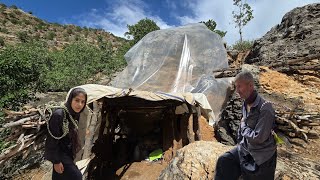 Download lagu Collecting firewood in the mountains to keep the mountain cave warm