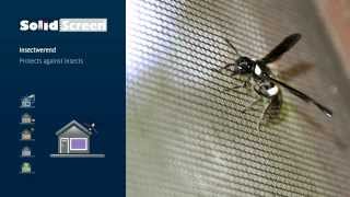 Hylas Ritsscreen