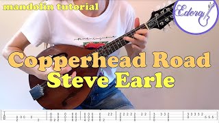 COPPERHEAD ROAD - Mandolin Tutorial Teaser - Steve Earle