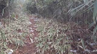 皿ヶ嶺　六部堂越