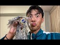 JUST CHATTING &amp; JEGI FROM SQUID GAME