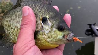 Panfishing lure tips, Lucky Tackle Box panfish boxes! Nov, Dec and Jan 